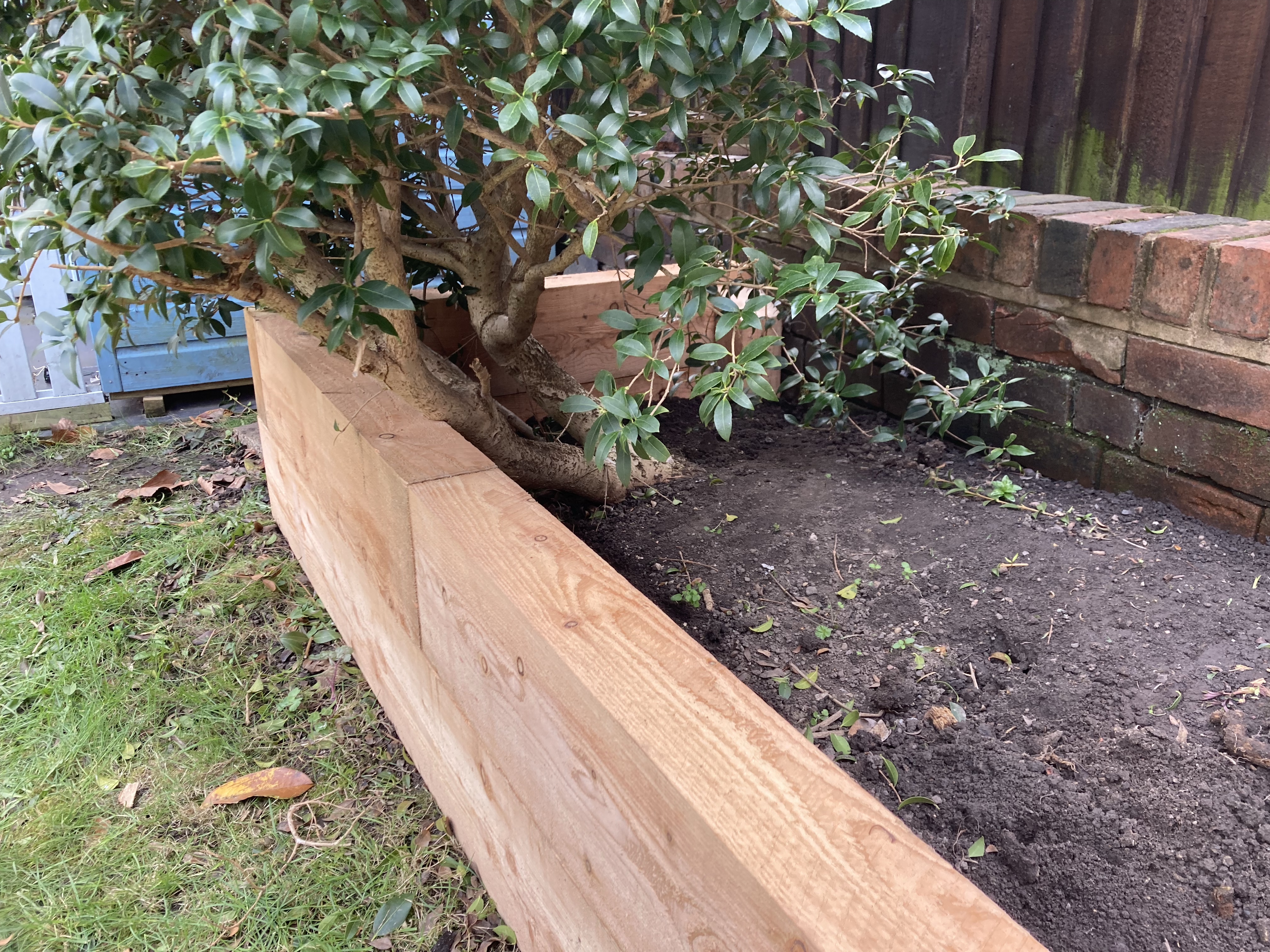 Raised Beds – Needham Design Ltd