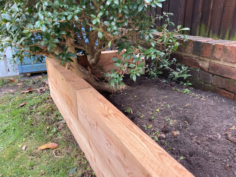 Raised Beds – Needham Design Ltd